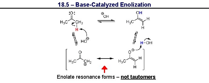 18. 5 – Base-Catalyzed Enolization Enolate resonance forms – not tautomers 