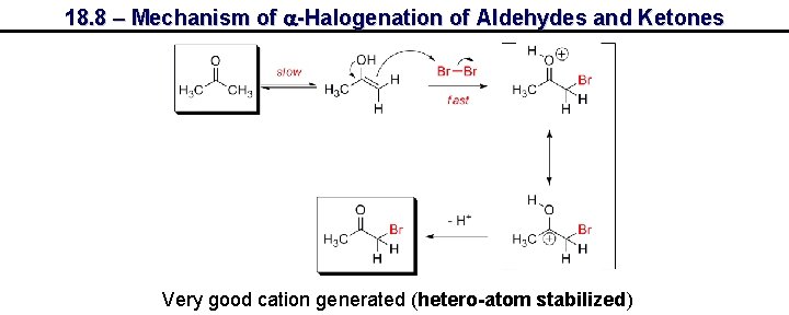 18. 8 – Mechanism of a-Halogenation of Aldehydes and Ketones Very good cation generated