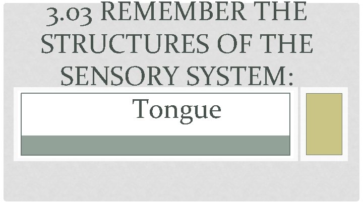 3. 03 REMEMBER THE STRUCTURES OF THE SENSORY SYSTEM: Tongue 