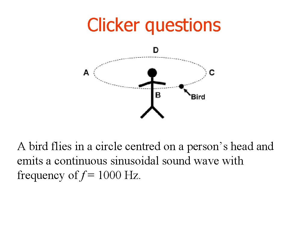 Clicker questions A bird flies in a circle centred on a person’s head and