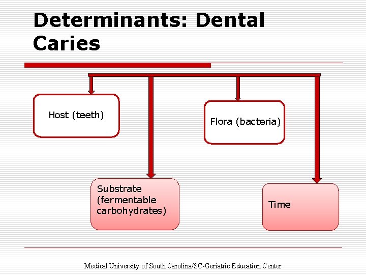Dental caries Determination Epidemiology of caries prevalence and
