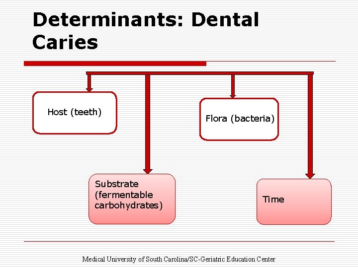 Determinants: Dental Caries Host (teeth) Substrate (fermentable carbohydrates) Flora (bacteria) Time Medical University of