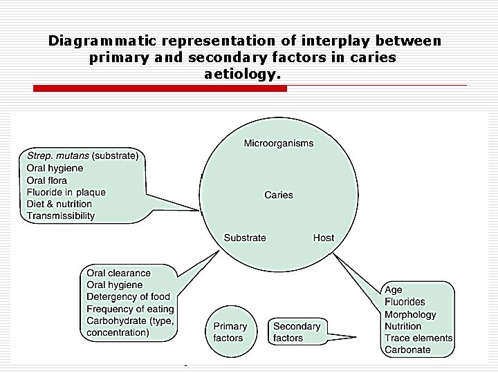  Diagrammatic representation of interplay between primary and secondary factors in caries aetiology. Medical