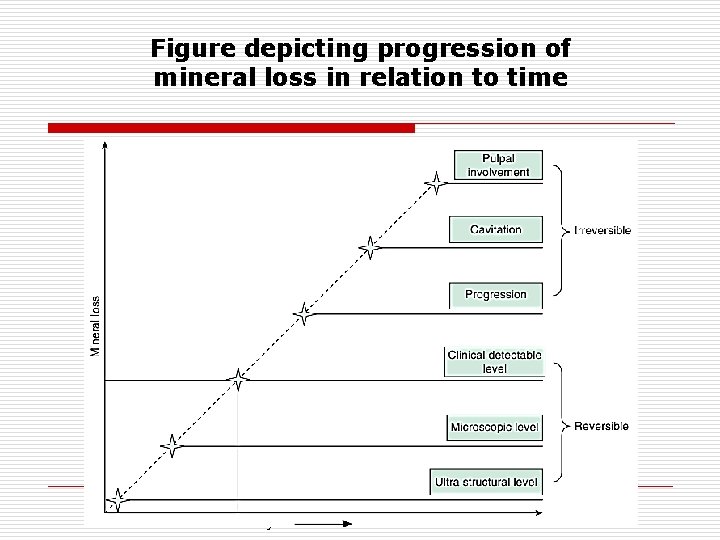 Figure depicting progression of mineral loss in relation to time Medical University of South