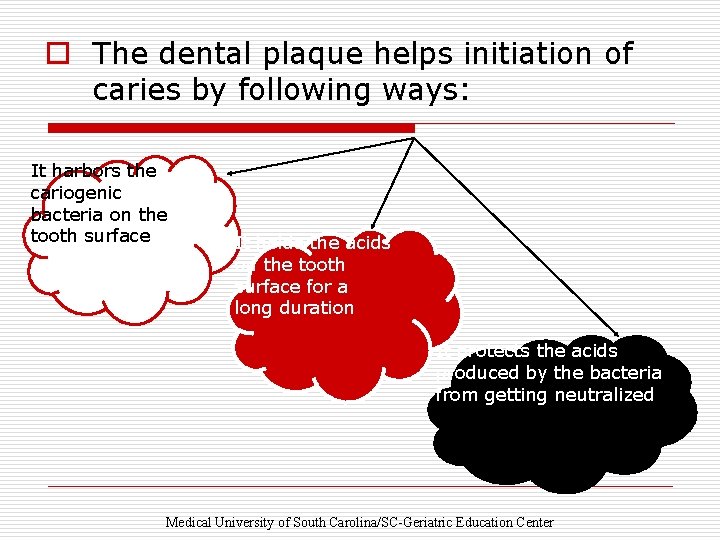 o The dental plaque helps initiation of caries by following ways: It harbors the