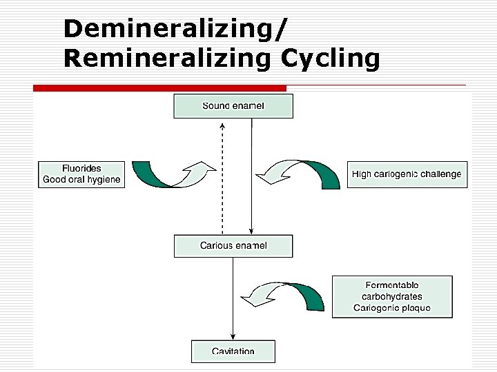 Demineralizing/ Remineralizing Cycling Medical University of South Carolina/SC-Geriatric Education Center 