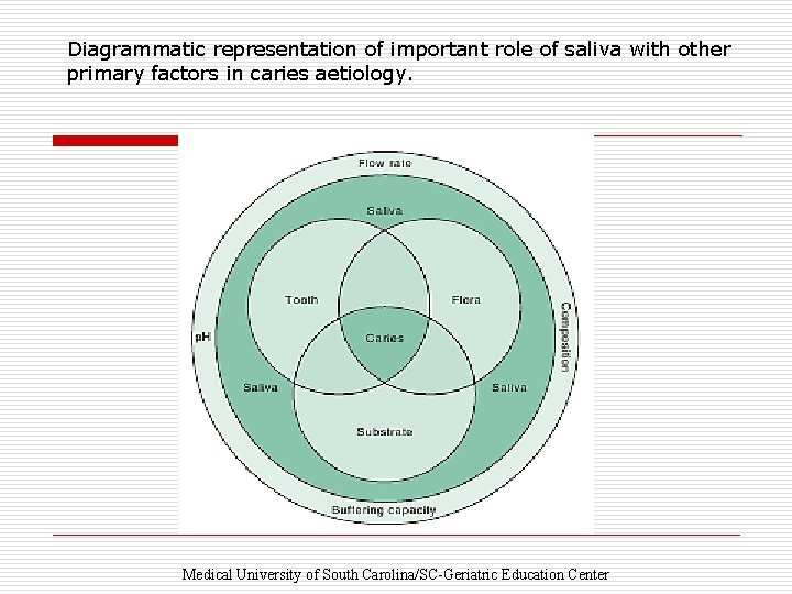 Diagrammatic representation of important role of saliva with other primary factors in caries aetiology.