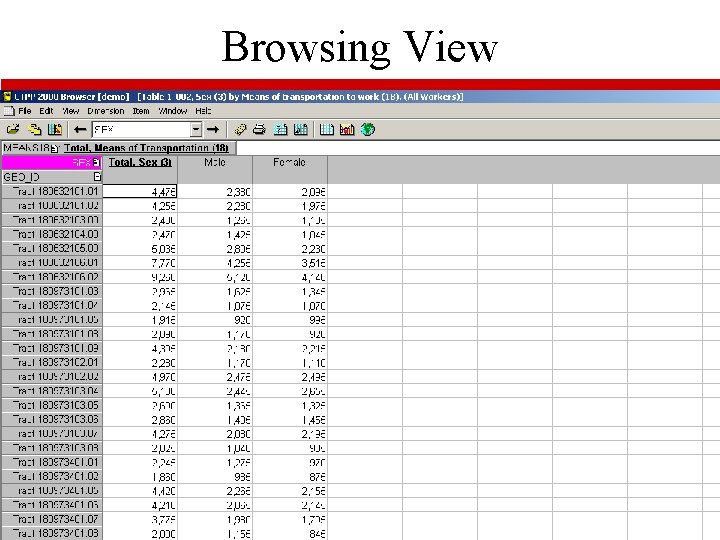 Browsing View 