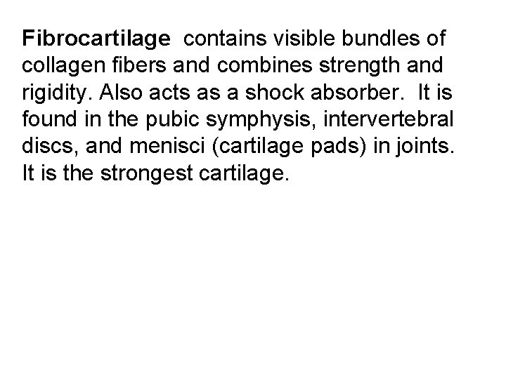 Fibrocartilage contains visible bundles of collagen fibers and combines strength and rigidity. Also acts