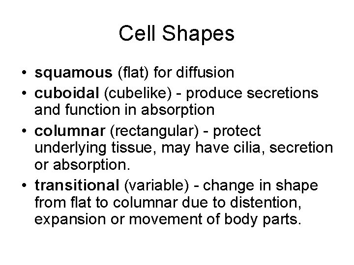 Cell Shapes • squamous (flat) for diffusion • cuboidal (cubelike) - produce secretions and