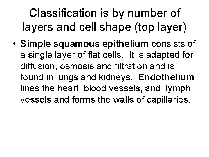 Classification is by number of layers and cell shape (top layer) • Simple squamous