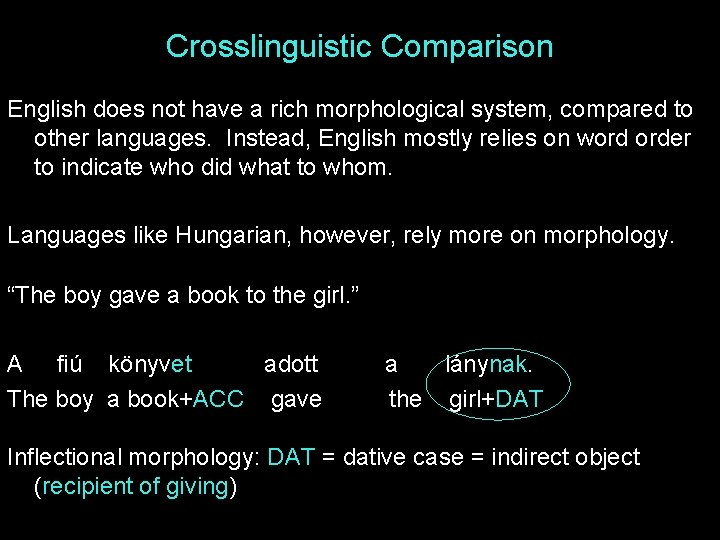 Crosslinguistic Comparison English does not have a rich morphological system, compared to other languages.