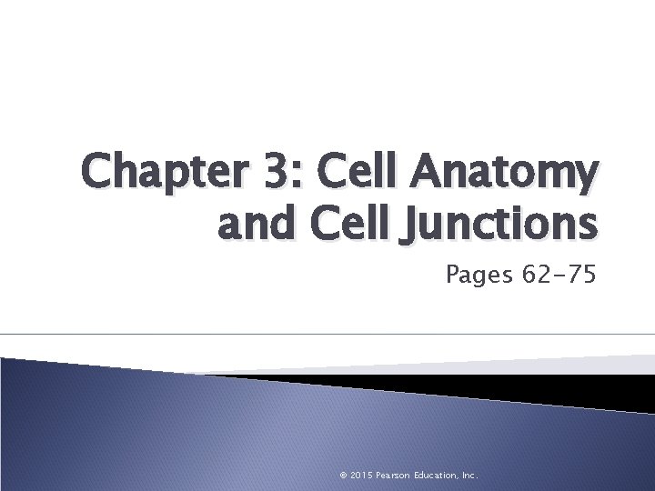 Chapter 3: Cell Anatomy and Cell Junctions Pages 62 -75 © 2015 Pearson Education,
