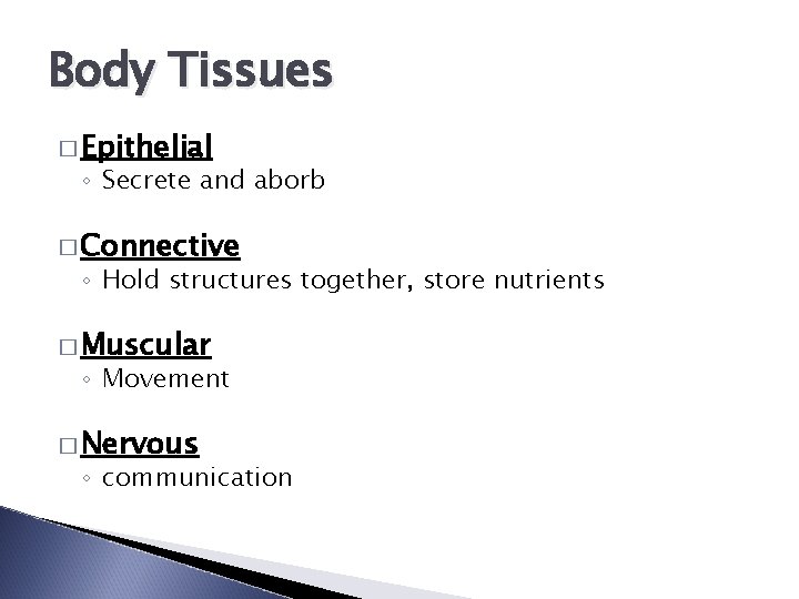 Body Tissues � Epithelial ◦ Secrete and aborb � Connective ◦ Hold structures together,