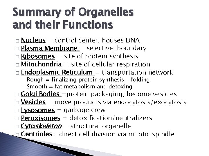 Summary of Organelles and their Functions Nucleus = control center; houses DNA � Plasma