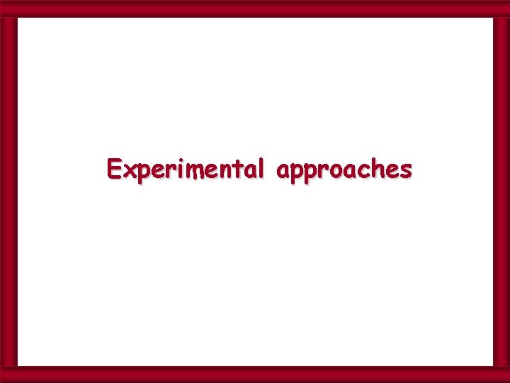 Experimental approaches 