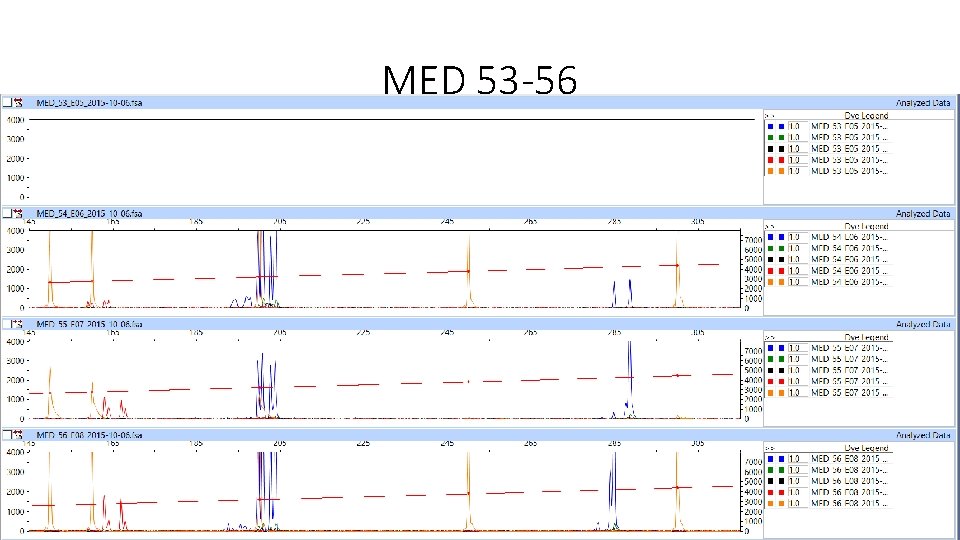 MED 53 -56 