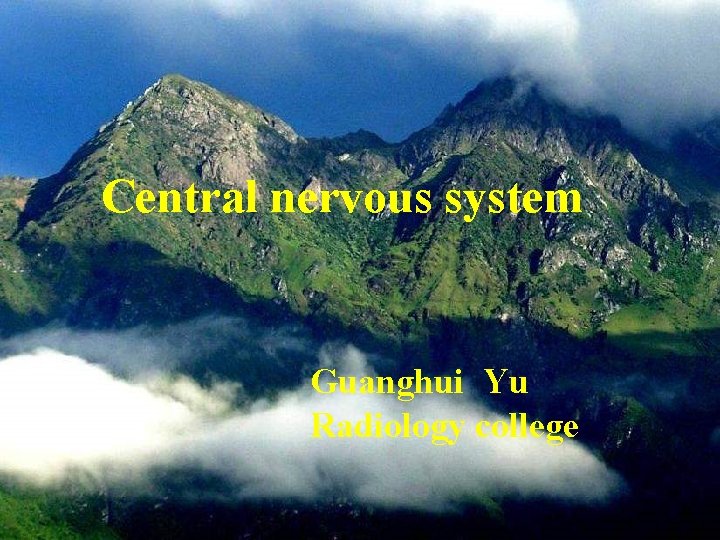 Central nervous system Guanghui Yu Radiology college 