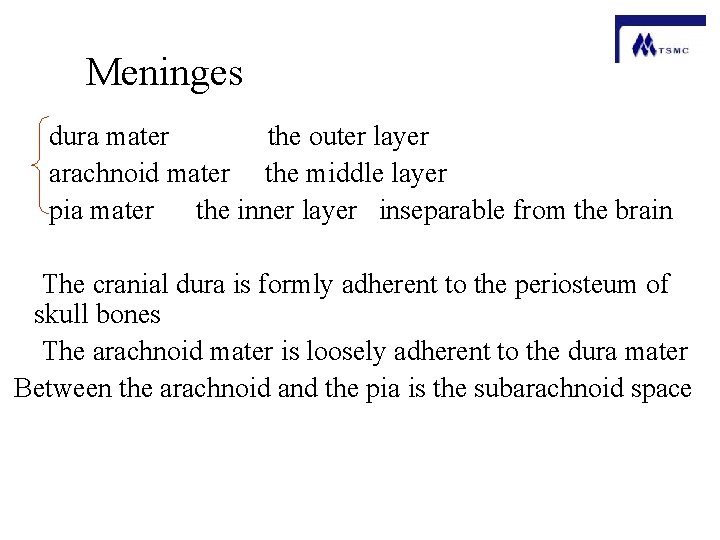 Meninges dura mater the outer layer arachnoid mater the middle layer pia mater the