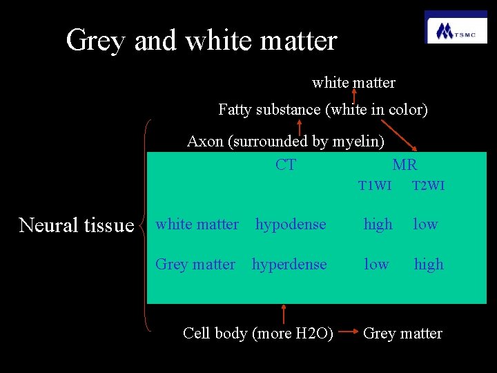 Grey and white matter Fatty substance (white in color) Axon (surrounded by myelin) CT