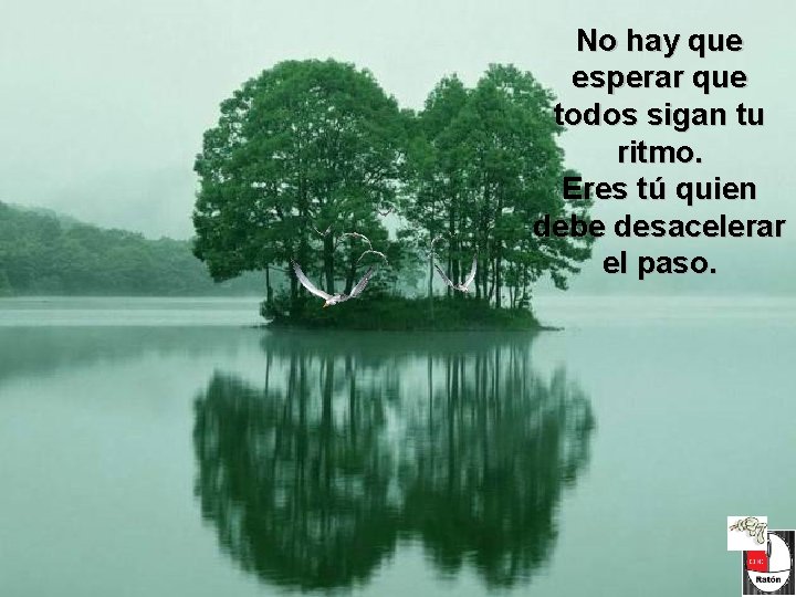 No hay que esperar que todos sigan tu ritmo. Eres tú quien debe desacelerar No hay que esperar que todos sigan tu ritmo. Eres tú quien debe desacelerar