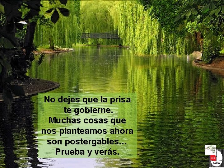 No dejes que la prisa te gobierne. Muchas cosas que nos planteamos ahora son No dejes que la prisa te gobierne. Muchas cosas que nos planteamos ahora son