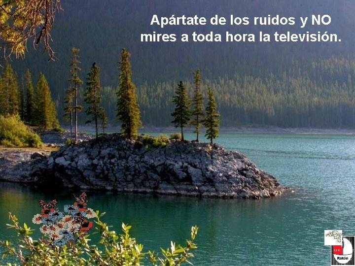Apártate de los ruidos y NO mires a toda hora la televisión. Apártate de los ruidos y NO mires a toda hora la televisión.