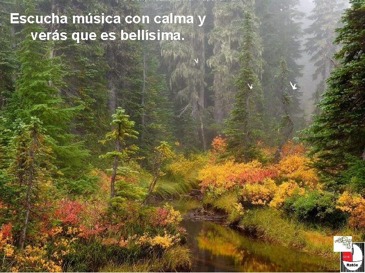 Escucha música con calma y verás que es bellísima. Escucha música con calma y verás que es bellísima.