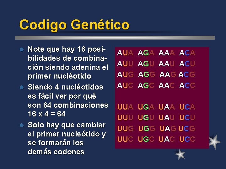 Codigo Genético Note que hay 16 posibilidades de combinación siendo adenina el primer nucléotido