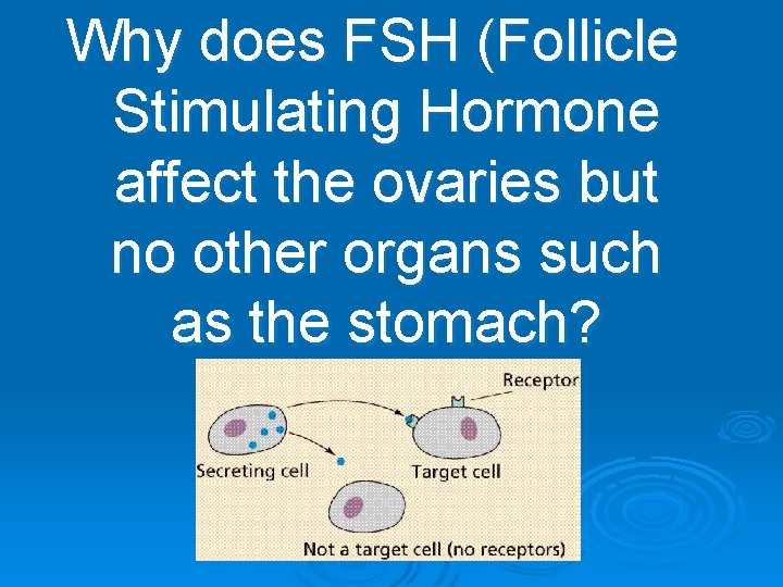 Why does FSH (Follicle Stimulating Hormone affect the ovaries but no other organs such