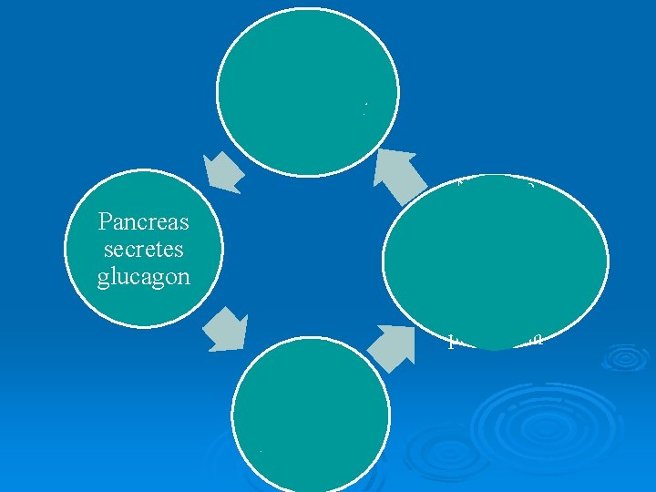 Sensor detects low blood sugar level Negative Feedback: Pancreas secretes glucagon Higher blood sugar