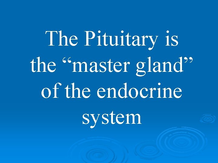 The Pituitary is the “master gland” of the endocrine system 