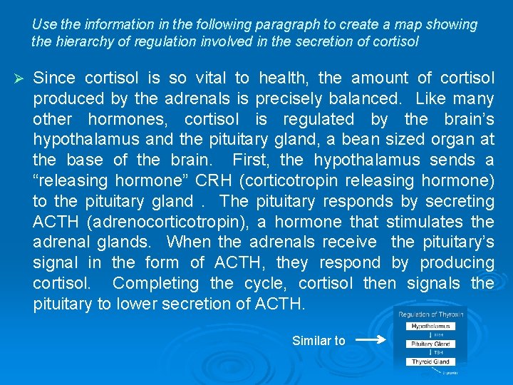 Use the information in the following paragraph to create a map showing the hierarchy