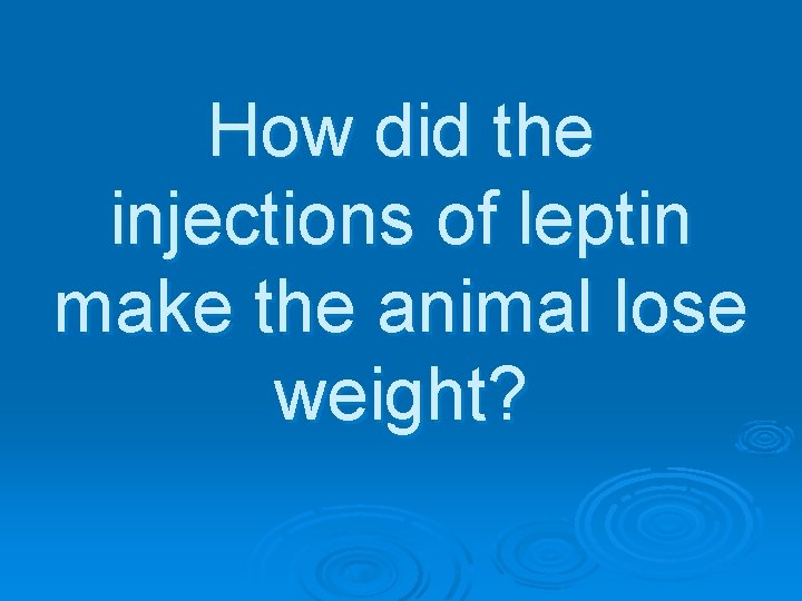 How did the injections of leptin make the animal lose weight? 