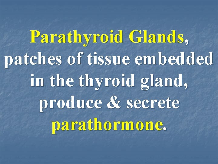 Parathyroid Glands, patches of tissue embedded in the thyroid gland, produce & secrete parathormone.