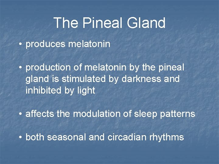 The Pineal Gland • produces melatonin • production of melatonin by the pineal gland