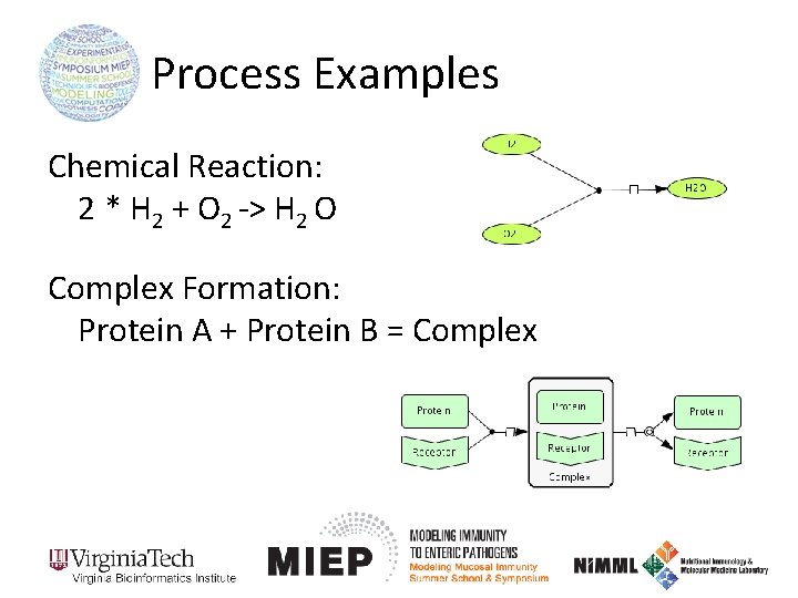 Process Examples Chemical Reaction: 2 * H 2 + O 2 -> H 2