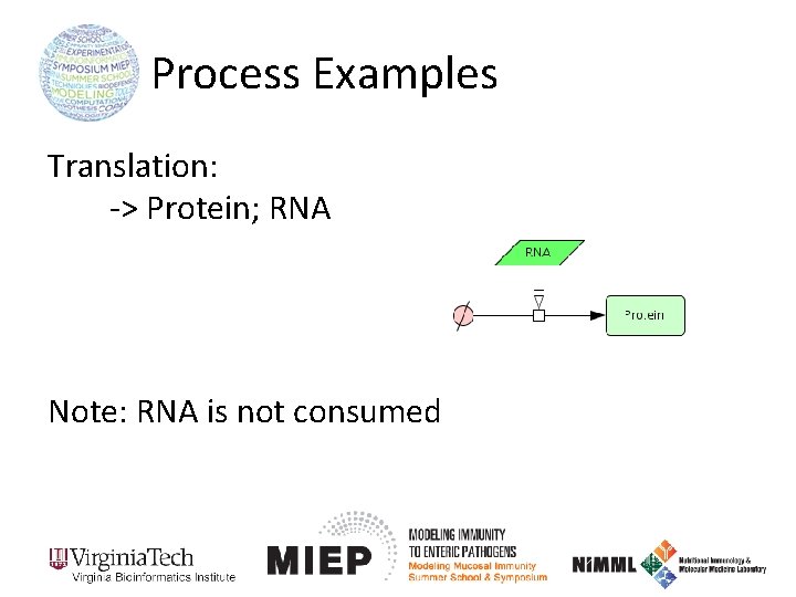 Process Examples Translation: -> Protein; RNA Note: RNA is not consumed 