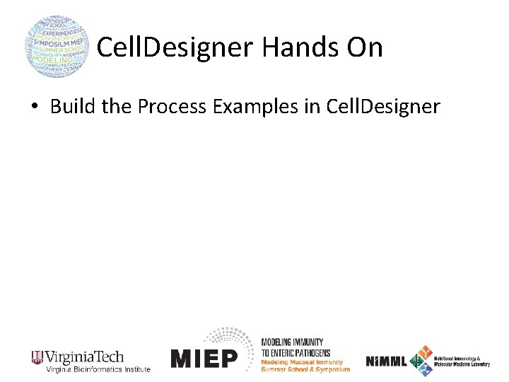 Cell. Designer Hands On • Build the Process Examples in Cell. Designer 