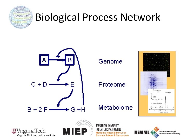 Biological Process Network A C+D B+2 F B Genome E Proteome G +H Metabolome