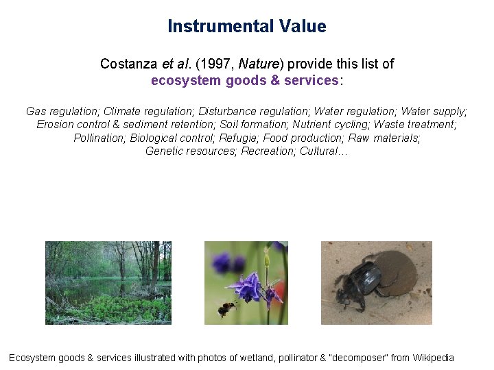 Instrumental Value Costanza et al. (1997, Nature) provide this list of ecosystem goods &