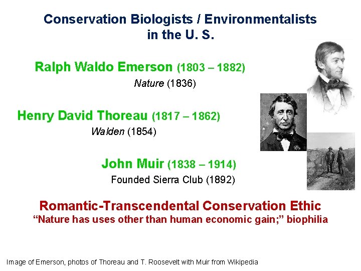 Conservation Biologists / Environmentalists in the U. S. Ralph Waldo Emerson (1803 – 1882)