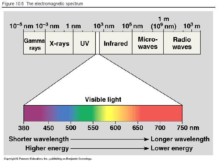 Figure 10. 5 The electromagnetic spectrum 