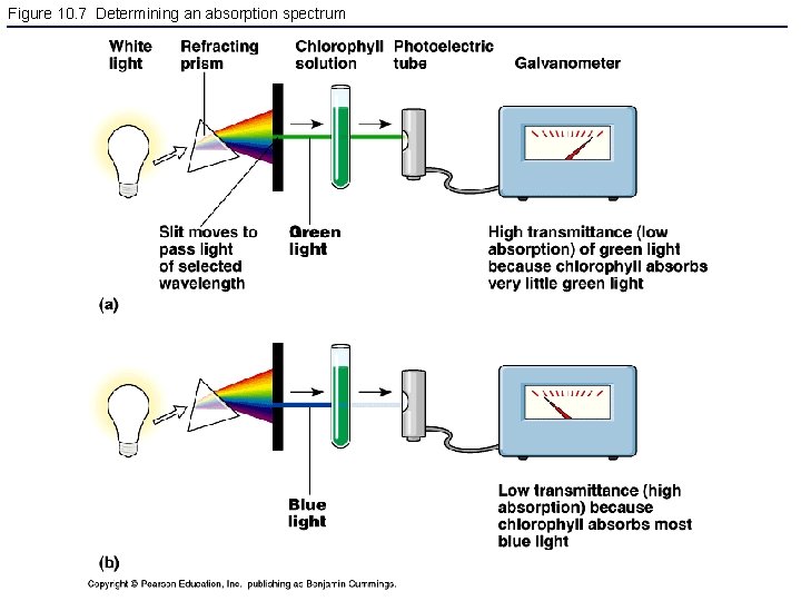 Figure 10. 7 Determining an absorption spectrum 