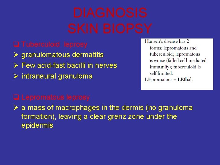 DIAGNOSIS SKIN BIOPSY q Tuberculoid leprosy Ø granulomatous dermatitis Ø Few acid-fast bacilli in