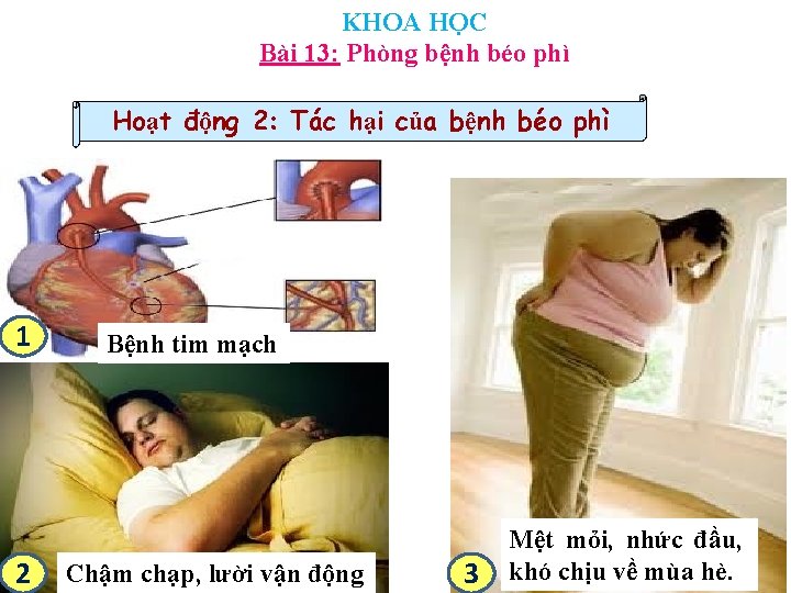 KHOA HỌC Bài 13: Phòng bệnh béo phì Hoạt động 2: Tác hại của