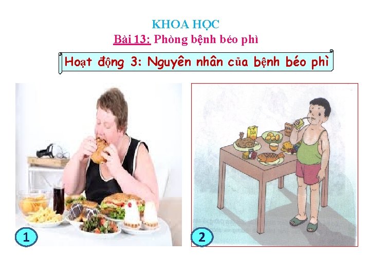 KHOA HỌC Bài 13: Phòng bệnh béo phì Hoạt động 3: Nguyên nhân của