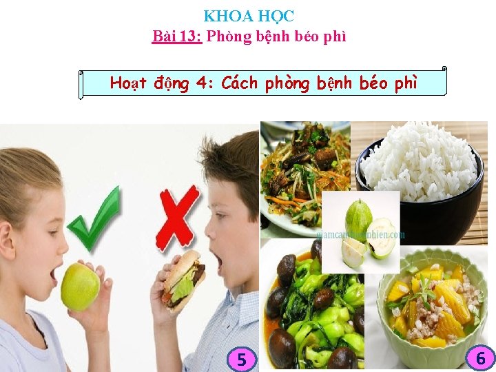 KHOA HỌC Bài 13: Phòng bệnh béo phì Hoạt động 4: Cách phòng bệnh