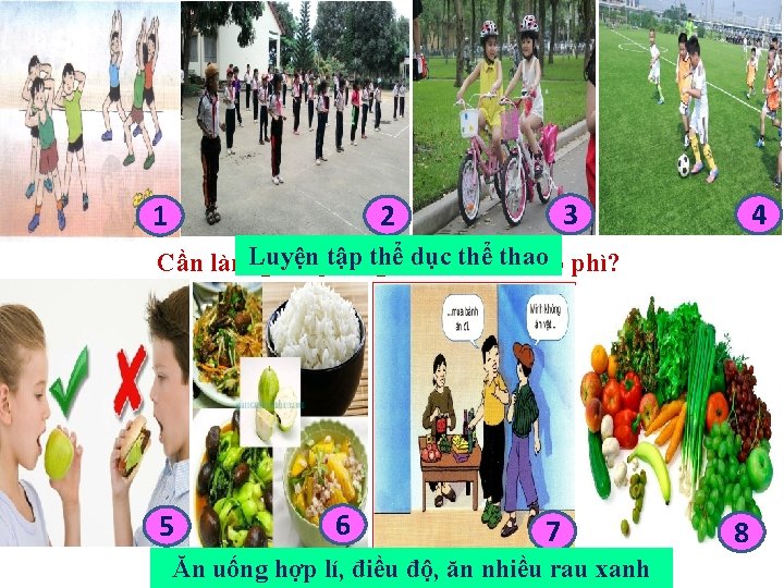 1 3 2 4 tập thểtránh dục thể thao Cần làm. Luyện gì để
