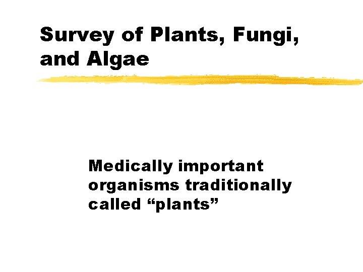 Survey of Plants, Fungi, and Algae Medically important organisms traditionally called “plants” Survey of Plants, Fungi, and Algae Medically important organisms traditionally called “plants”